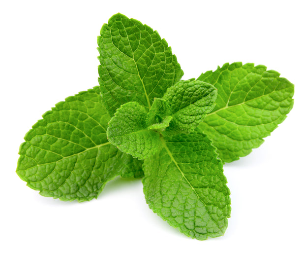 Conditioner Tea Tree/Peppermint